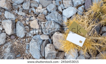  Amidst the rocky terrain rests a parched thorn bush, adorned with two bank cards one white, the other gold creating a stark contrast between human convenience and the ruggedness of nature.