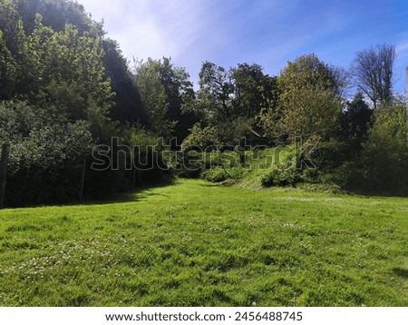 Magnificent and vast plain of well-kept and cut lawn, in an urban environment, under a burst of radiance from the Sun, with shrubs, wide area, corner of soothing greenery and spiritual well-being Royalty-Free Stock Photo #2456488745