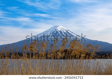 Fujisan view from Kawaguchi lake Royalty-Free Stock Photo #2456541713