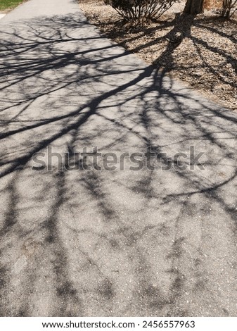 Shadow of a tree cast on a pathway during a solar eclipse, showcasing intricate, web-like patterns. Perfect for illustrating natural phenomena and light effects Royalty-Free Stock Photo #2456557963
