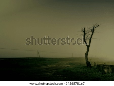 sad and lonely tree in an apocalyptic context