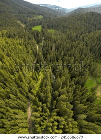 Vertical drone view above Sadu valley. Sadu river flowing along wild coniferous forests through green pastures. Cindrel mountain peaks are raising impetuous toabove the horizon. Carpathia, Romania Royalty-Free Stock Photo #2456586679