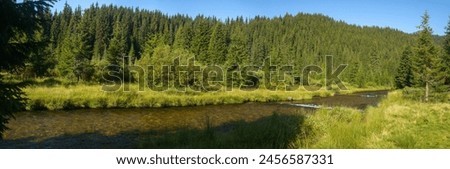 Sebes river flowing out of wild coniferous forests through green pastures, meadows and glades. morning time, sun is rising impetuous above the green woodlands, Carpathia, Romania Royalty-Free Stock Photo #2456587331