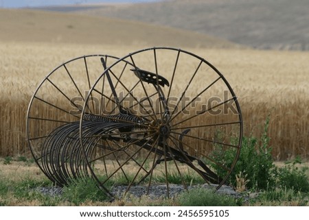 photo of vintage frame equipment being an old iron wheel rake with a metal seat in front of a wheat field ready for summer harvest