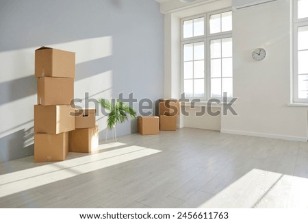 Interior of clean modern light living room with stacked cardboard boxes and green plant standing by wall in new house or apartment with no people. Moving, relocation, removal, transportation concept