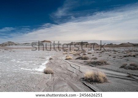 Dried Riverbed in Petrified Forest Park - Medium Royalty-Free Stock Photo #2456626251