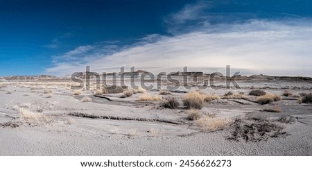 Dried Riverbed in Petrified Forest Park - Wide Royalty-Free Stock Photo #2456626273