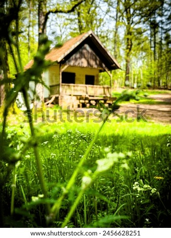 A house in the middle of the forrest. Is this a witchhouse witch's house? Royalty-Free Stock Photo #2456628251