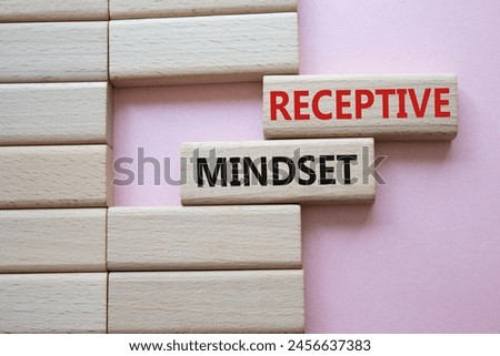 Receptive Mindset symbol. Concept word Receptive Mindset on wooden blocks. Beautiful pink background. Business and Receptive Mindset concept. Copy space