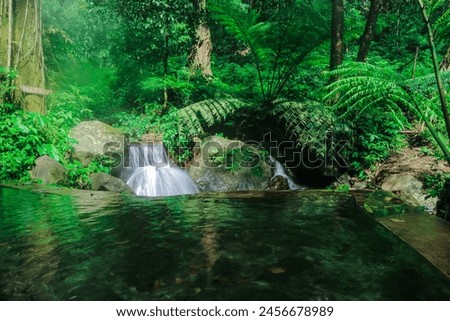 beautiful waterfalls and refreshing cold water with green trees and rocks