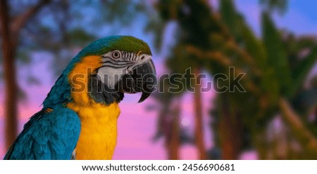 colorful beautiful summer background with parrot