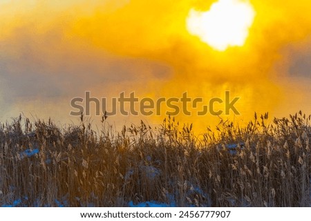 Feel the beauty and magic. Be enchanted by the enchanting dance of the sun's rays on the frozen river. Immerse yourself in the mystical atmosphere of Frozen River Magic. Royalty-Free Stock Photo #2456777907