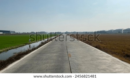 The photograph depicts a road with green rice fields on one side and brown fields on the other. Royalty-Free Stock Photo #2456821481