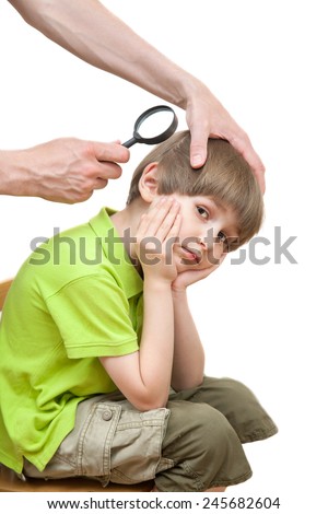 Father looks nits at the schoolboy son