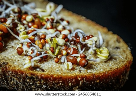 Microgreens with cotyledons and roots on bread. A set of vitamins. Soft selective focus. Artificially created grain for the picture.