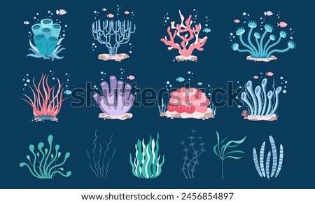 Ocean plants set in simple style. Seaweed collection in flat design on a white background. 
