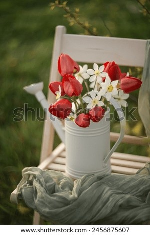 Still-life. Photo of a bouquet of red tulips and daffodils in a spring garden.
