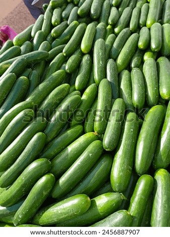 Cucumber in market capture picture