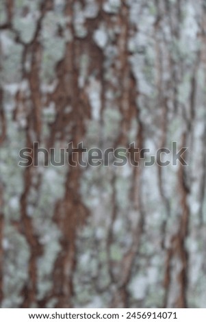 Photo with blur effect a teak tree texture in the forest that is brown and has strokes 