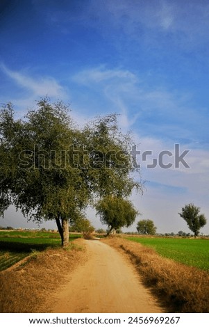 its a landscape picture, brightly capture, with beautiful colourful theme