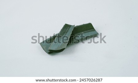 Close up picture of aloe vera . Aloe vera photography. Stock photography.