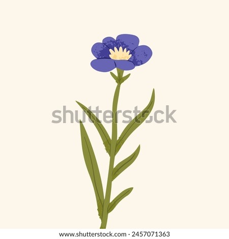 Vector realistic flowers Pansies, Viola with bright  leaves isolated on white background clip art. Hand drawn botanical vector illustration