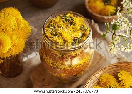 Preparation of dandelion syrup from fresh flowers and brown sugar. Herbal medicine. Royalty-Free Stock Photo #2457076793