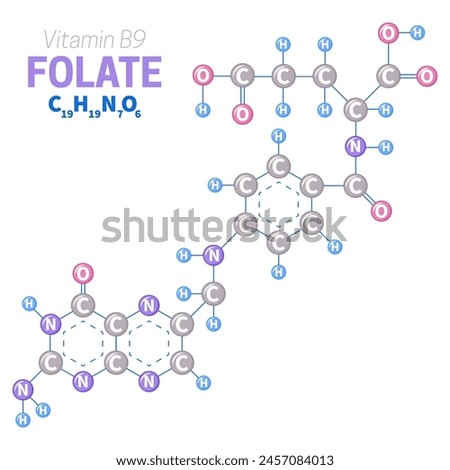 Folate or Vitamin B9 Molecule Structure Illustration Royalty-Free Stock Photo #2457084013