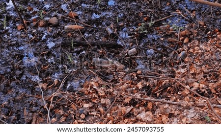 Forest Swamp Bog Morass Polluted with Glass and Plastic Bottles Garbage Trash Royalty-Free Stock Photo #2457093755