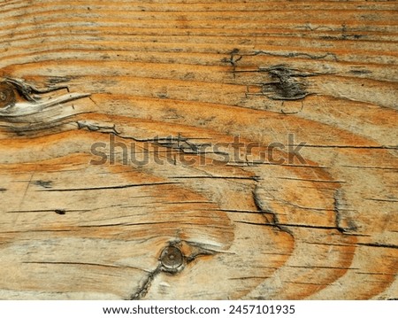Wood textur. Close-up of the wood grain pattern and texture on a piece of wood 