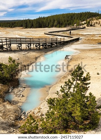 Sunday Geyser with Boardwalk in Norris Porcelain Basin, Yellowstone National Park Wyoming. Royalty-Free Stock Photo #2457115027
