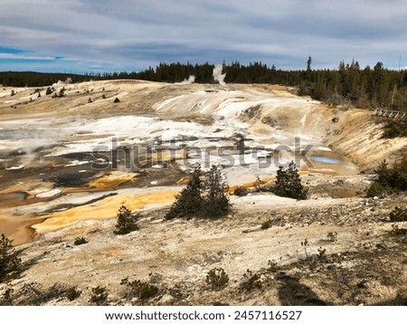 Porcelain Springs in Norris Porcelain Basin, Yellowstone National Park in Wyoming. Royalty-Free Stock Photo #2457116527