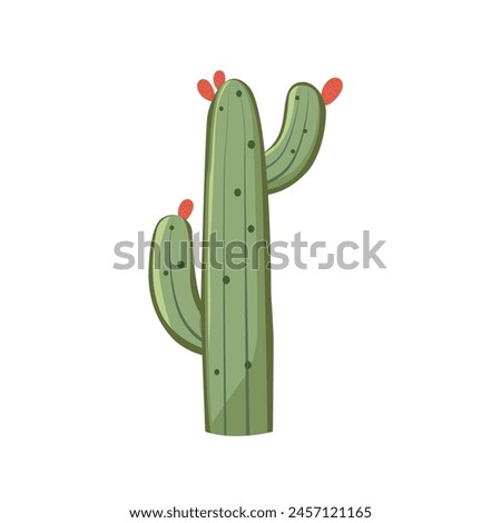 Cute cactus plant vector illustration, cacti clip art, cactuses tree image isolated on white background, member of plant family cactaceae