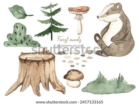 Forest animals, badger, grass, leaves, stump, spruce, plants for baby cards and baby showers Watercolor set 