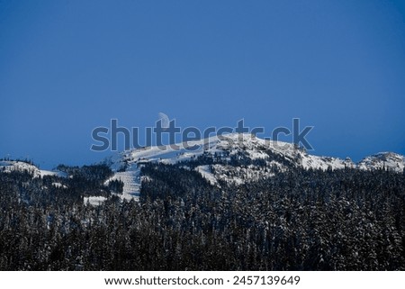 Crescent moon over a mountain range in winter with snow covered peak and pine trees. Clear evening sky