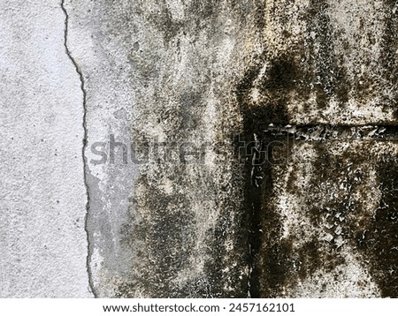 a photography of a fire hydrant is shown in a dirty wall.