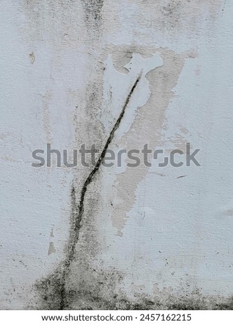 a photography of a fire hydrant in front of a wall with a crack in it.