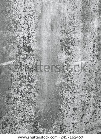 a photography of a black and white photo of a wall with a fire hydrant.
