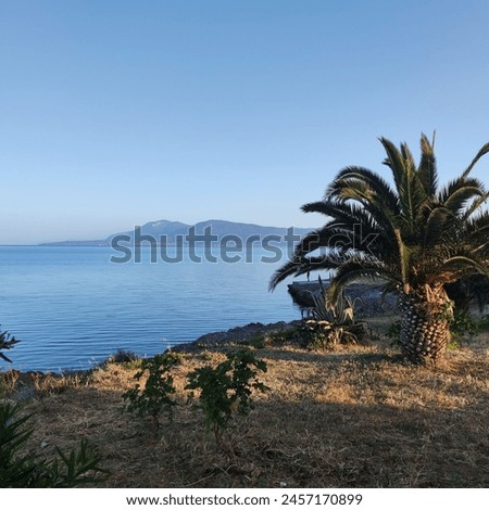 Seashore against the backdrop of mountains and blue sky.