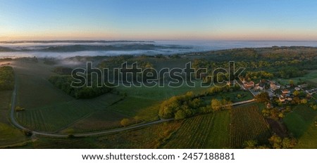 Aerial view of Bordeaux vineyard at sunrise spring under fog, Rions, Gironde, France