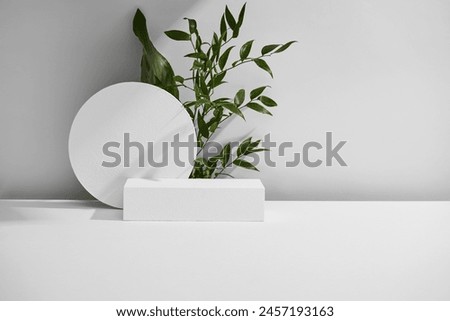 A white geometric podium, next to a blooming bright green plant. The leaves of the plant are lush and healthy, which adds brightness to the simple but elegant design.