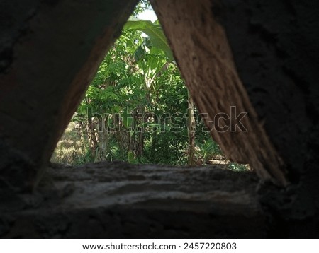 view of the trees behind the house seen through the brick triangle in the afternoon Royalty-Free Stock Photo #2457220803