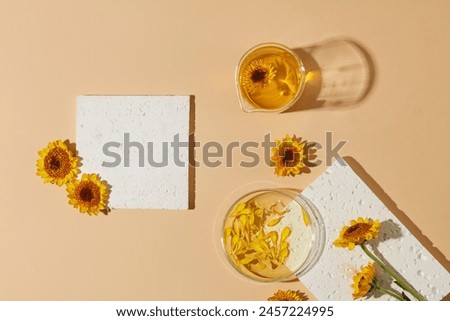 Stone podiums in white color arranged with some fresh flowers, a beaker and a petri dish filled with oil extracted from Calendula flowers. Minimal scene with geometric podium platform