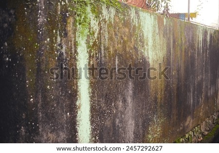 Mossy walls. Moss background. Photo taken from school walls in east jakarta at 1st May 2024 Royalty-Free Stock Photo #2457292627