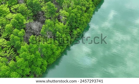The drone soars above the mystical mangrove labyrinth, revealing a world where water and land embrace, concealing secrets of resilience and enchantment. Thailand. 
 Royalty-Free Stock Photo #2457293741