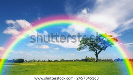 Amazing scene in summer green grassy meadows in fantastic evening sunlight. A very beautiful rainbow over the green rice fields.dramatic sky. Landscape photography.