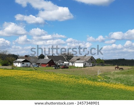 Tranquil Countryside Scene: Horse Grazing near Village Houses Amidst Green Fields with Yellow Flowers under a Beautiful Summer Sky