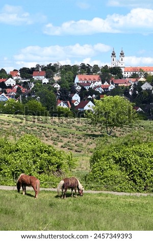 Village of Tihany and Saint Aignan abbey with fields and two horses in the foreground in tall format Royalty-Free Stock Photo #2457349393