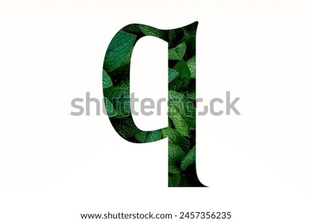 Letter Q made of green leaves set on white background. Nature font concept. Style of Q lowercase