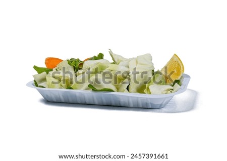 indian restaurant salad in high resolution images and isolated in white with blurry ends